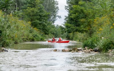 Szigetköz és Sokorói-dombság partnerségi találkozó